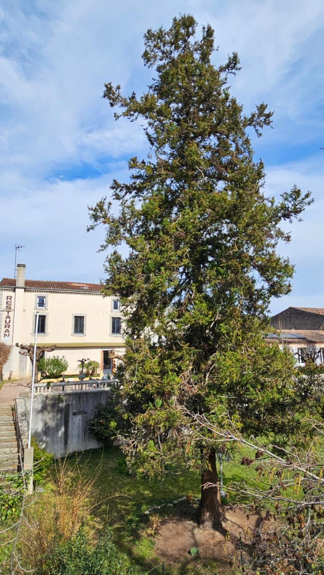 Villa Coliv'Castres Burlats Esterno foto